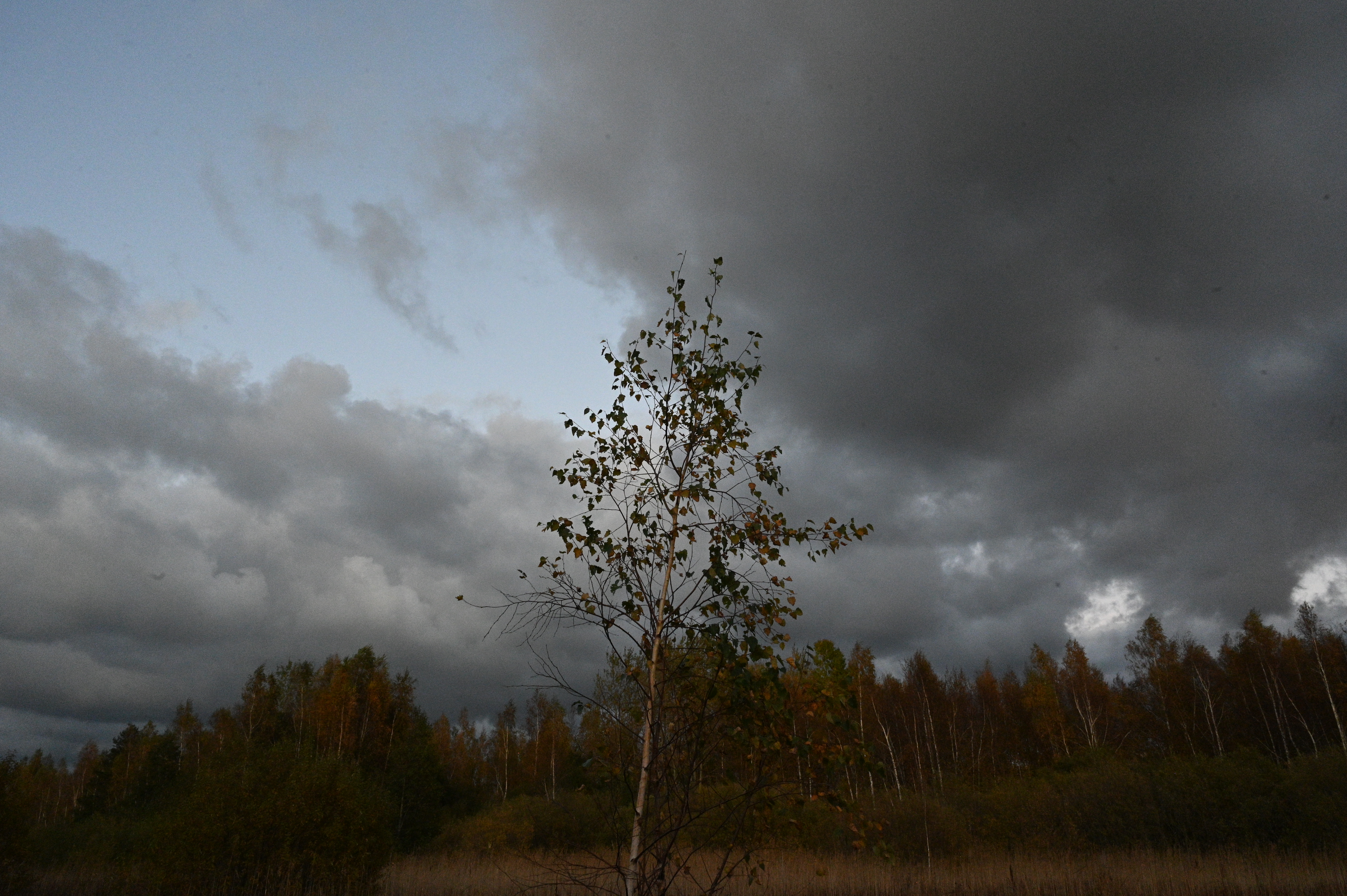 2025/10/18 - walk/DSC_0530.JPG